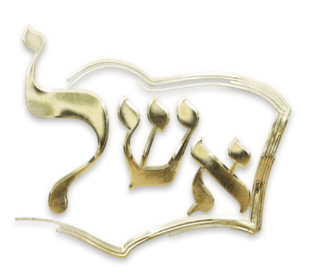 Logo Eshel